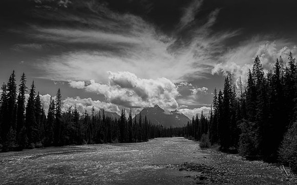canada_bw-35