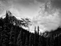 canada_bw-13