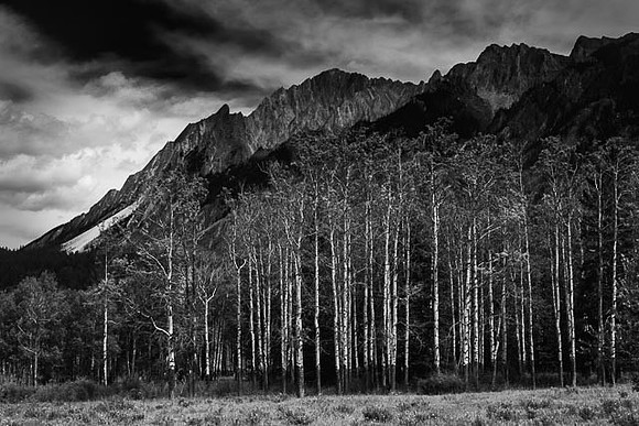 canada_bw-40