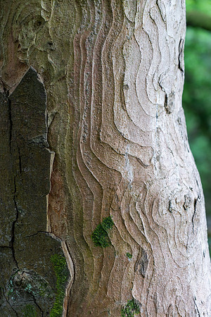 lake_district_bza-049