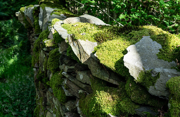 lake_district_bza-056