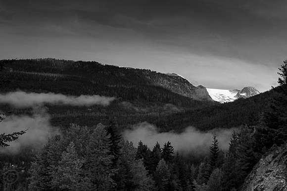 canada_bw-6