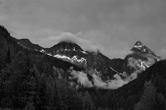 canada_bw-9