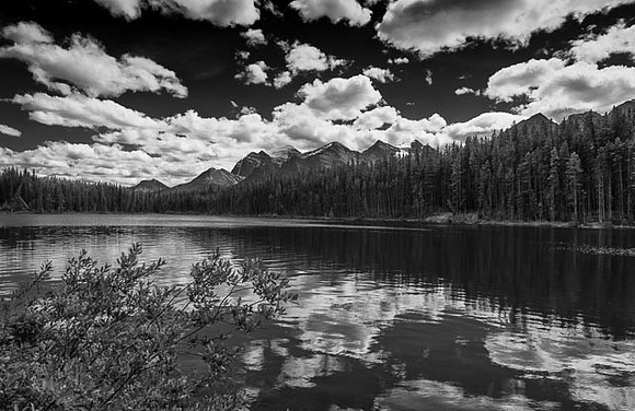 canada_bw-36