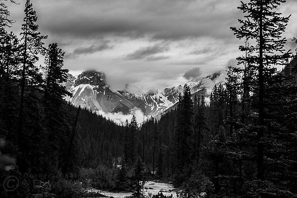 canada_bw-15
