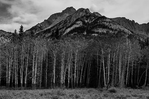 canada_bw-38